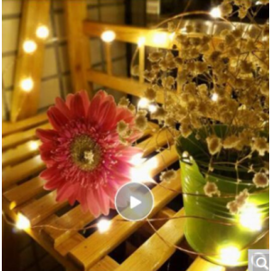 青苇 LED铜线串灯串 圣诞节元旦新年春节装饰彩灯 情人节求婚浪漫礼物 暖白5米50灯电池盒